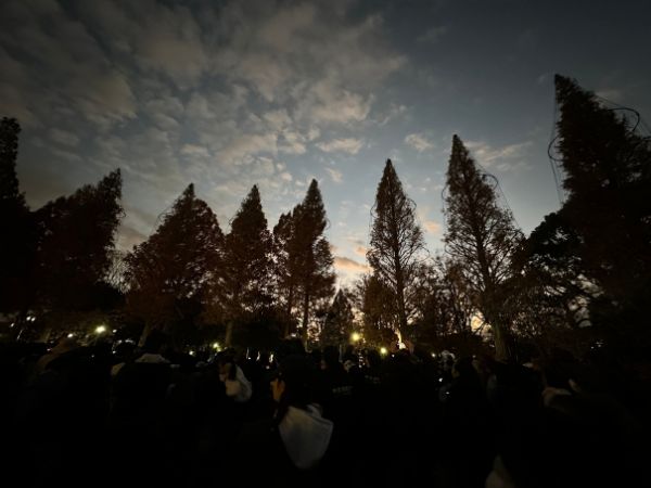 ライトアップ前