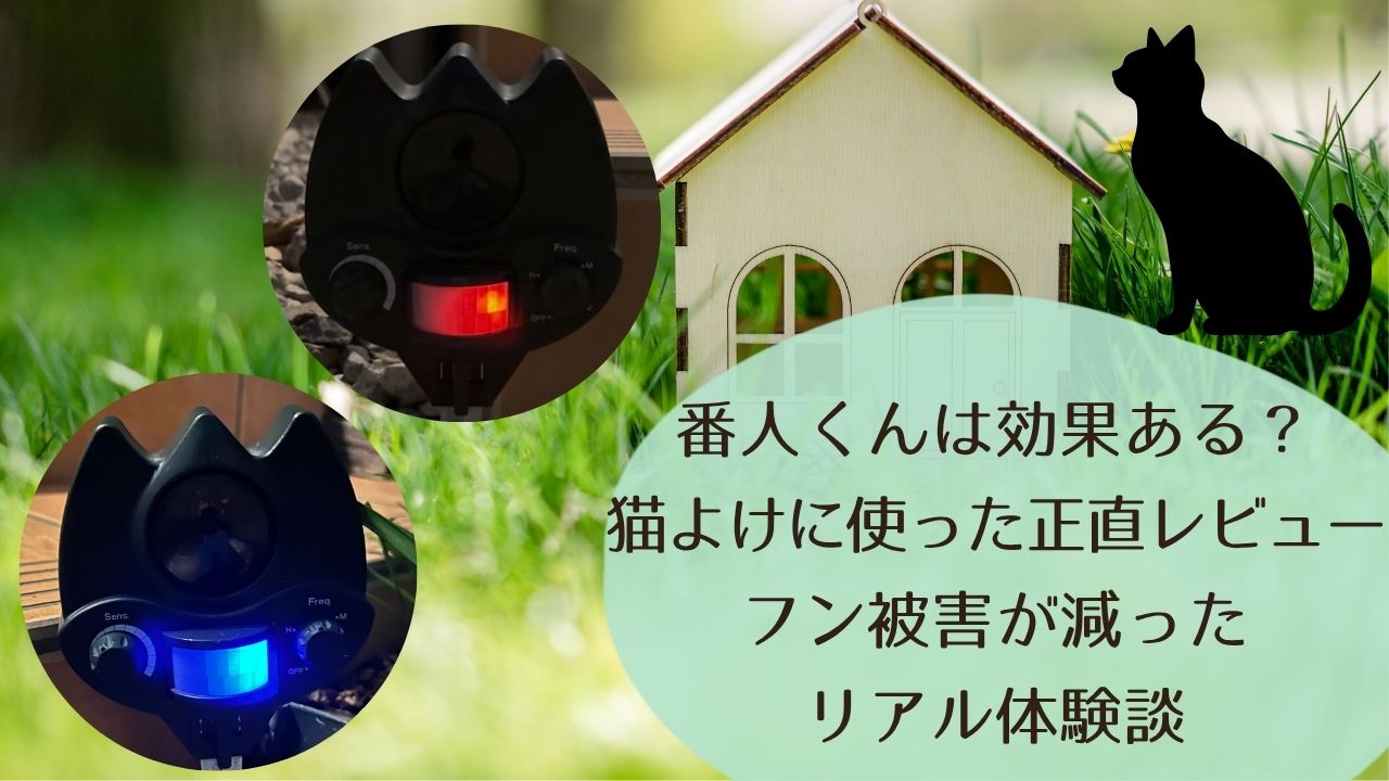 番人くんは効果ある？猫よけに使った正直レビュー｜フン被害が減ったリアル体験談