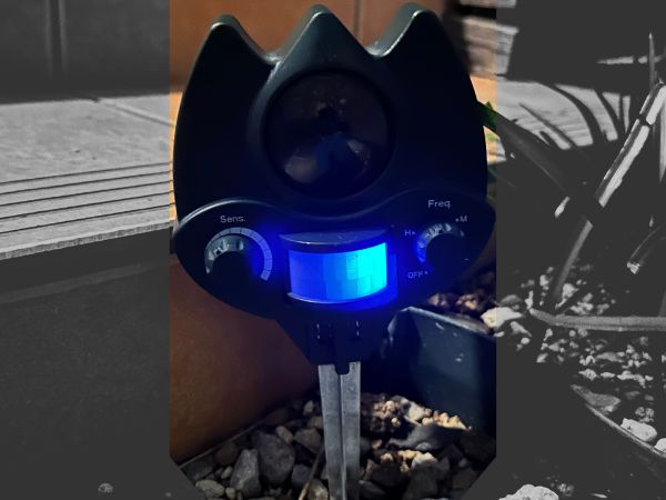 番人くんセンサー反応